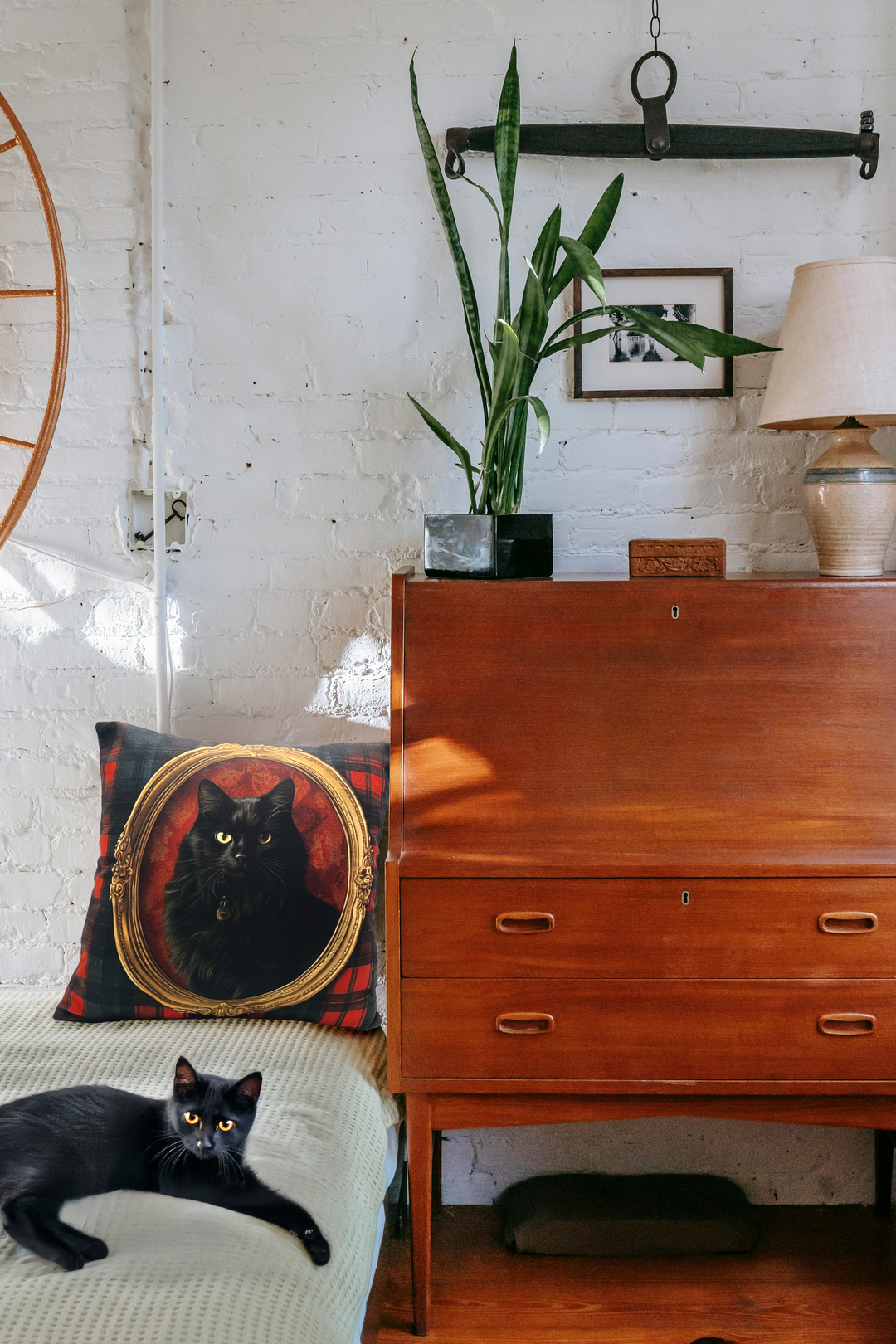 How a Cat-Themed Cushion Cover Transformed Our Home – According to the Cat