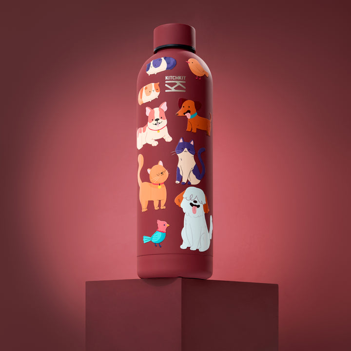 Insulated Steel Water Bottle 750 ml / 25 oz